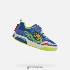 Geox boy royal / citron vert R28ZDT2004 Geox Bottes Femme